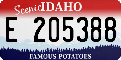 ID license plate E205388