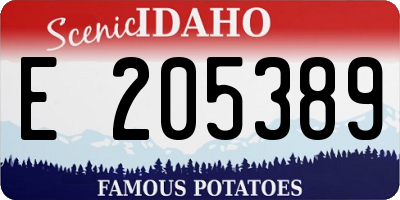 ID license plate E205389