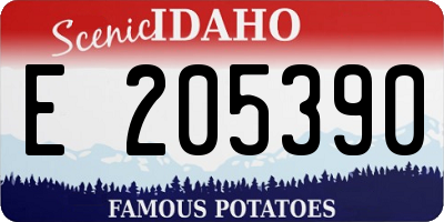 ID license plate E205390