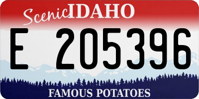 ID license plate E205396