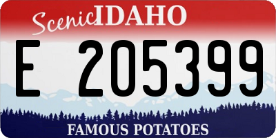 ID license plate E205399