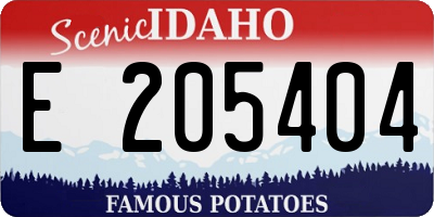ID license plate E205404