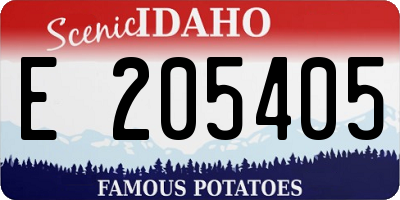 ID license plate E205405