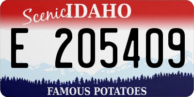 ID license plate E205409