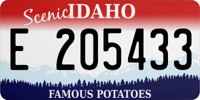 ID license plate E205433