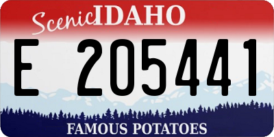 ID license plate E205441
