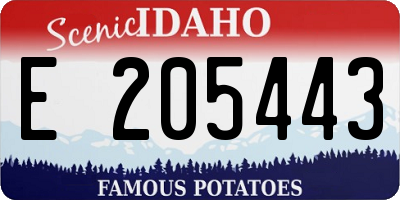 ID license plate E205443