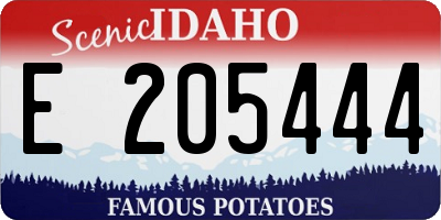 ID license plate E205444