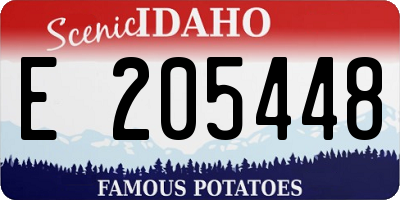 ID license plate E205448