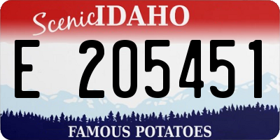 ID license plate E205451