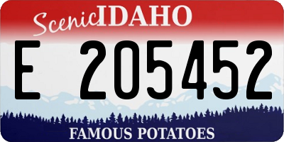 ID license plate E205452