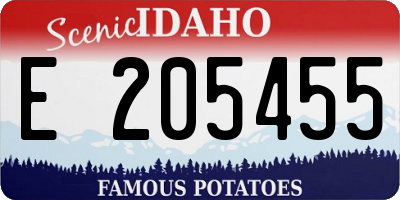 ID license plate E205455