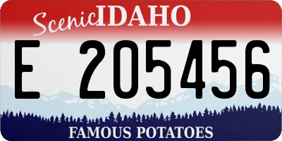 ID license plate E205456