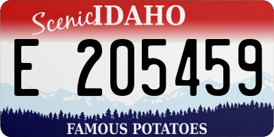 ID license plate E205459
