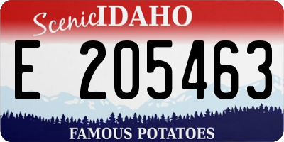 ID license plate E205463