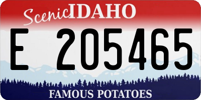 ID license plate E205465