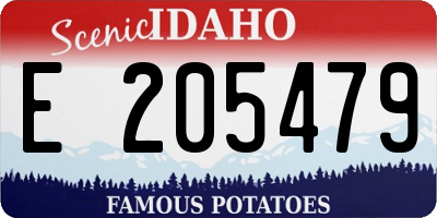 ID license plate E205479