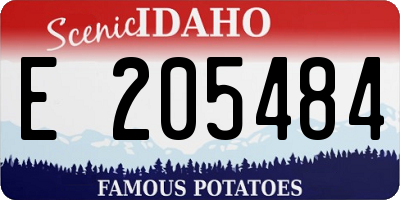 ID license plate E205484