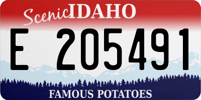 ID license plate E205491