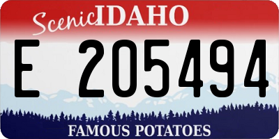 ID license plate E205494