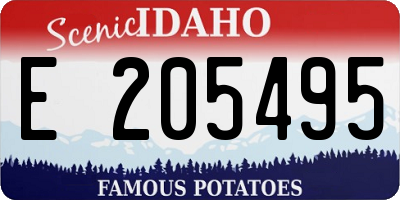 ID license plate E205495