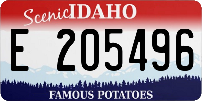 ID license plate E205496