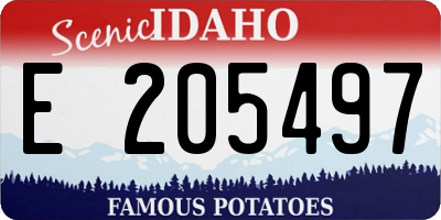 ID license plate E205497