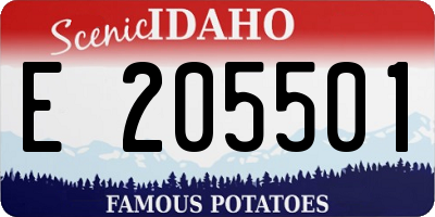 ID license plate E205501