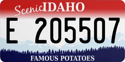 ID license plate E205507