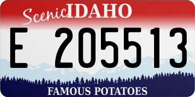 ID license plate E205513