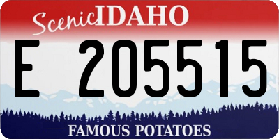 ID license plate E205515
