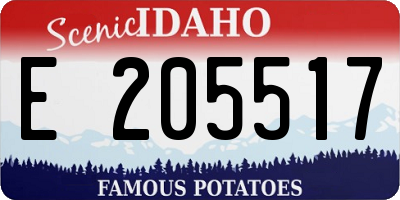 ID license plate E205517
