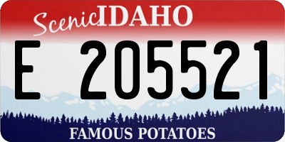 ID license plate E205521