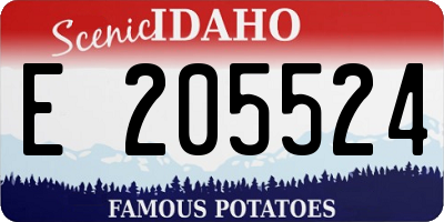 ID license plate E205524