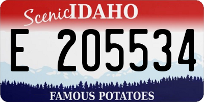 ID license plate E205534