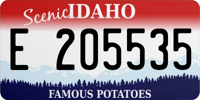ID license plate E205535