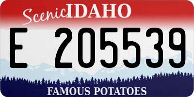 ID license plate E205539