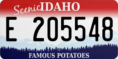 ID license plate E205548