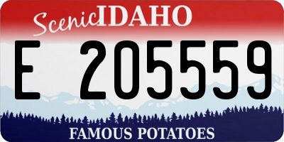 ID license plate E205559