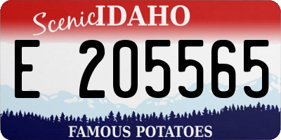ID license plate E205565