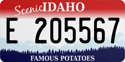 ID license plate E205567