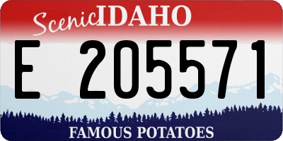 ID license plate E205571