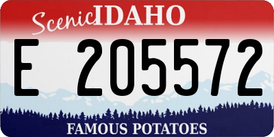 ID license plate E205572