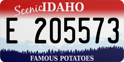 ID license plate E205573