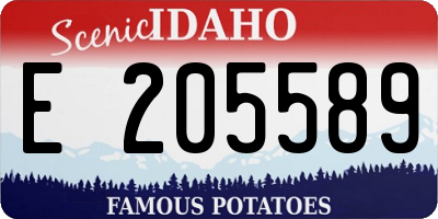 ID license plate E205589