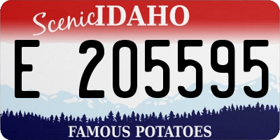 ID license plate E205595