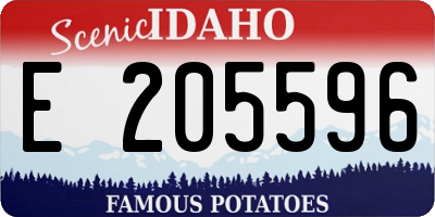 ID license plate E205596