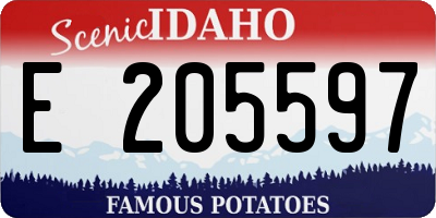 ID license plate E205597
