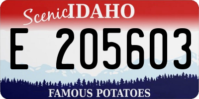 ID license plate E205603