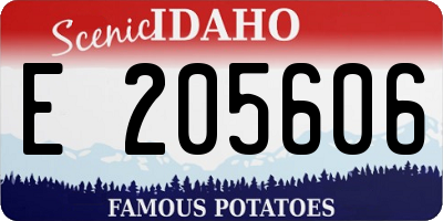 ID license plate E205606